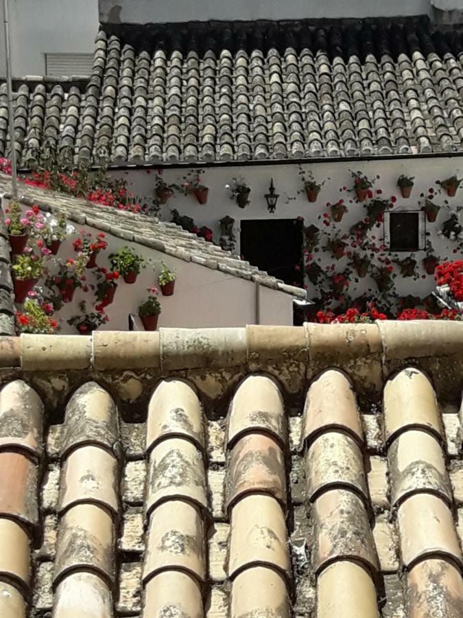 Los Tejares Del Alcazar Córdoba Eksteriør bilde