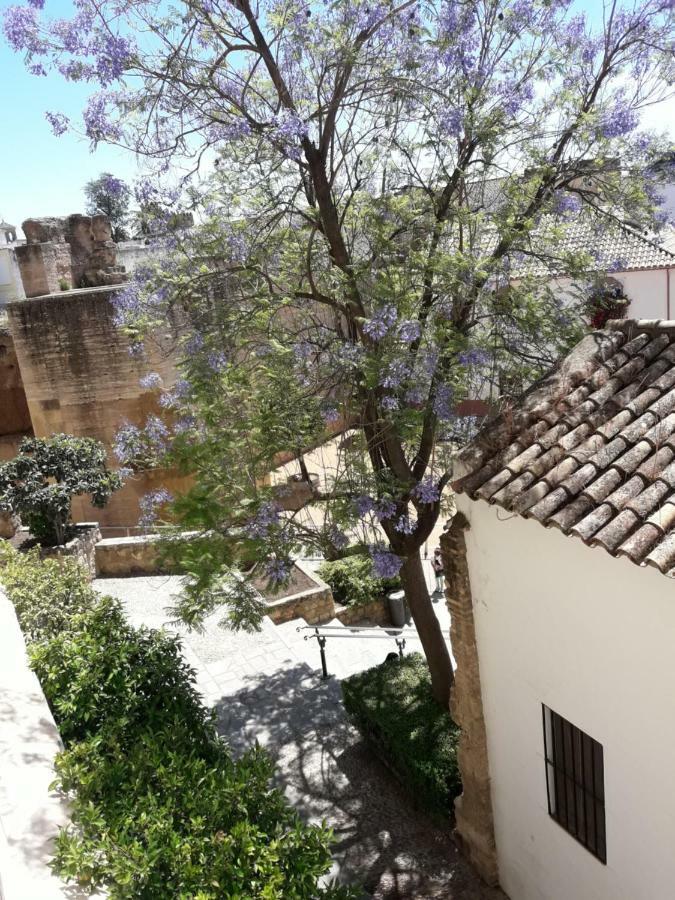 Los Tejares Del Alcazar Córdoba Eksteriør bilde