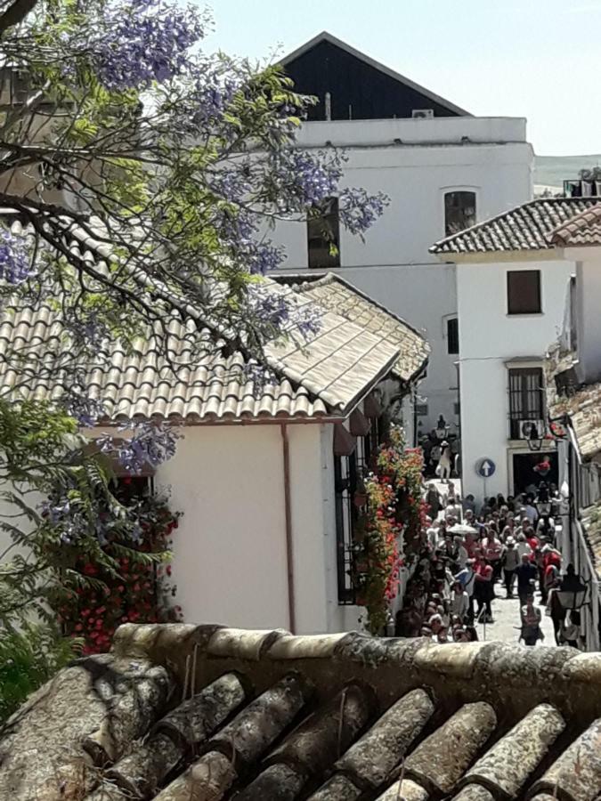 Los Tejares Del Alcazar Córdoba Eksteriør bilde